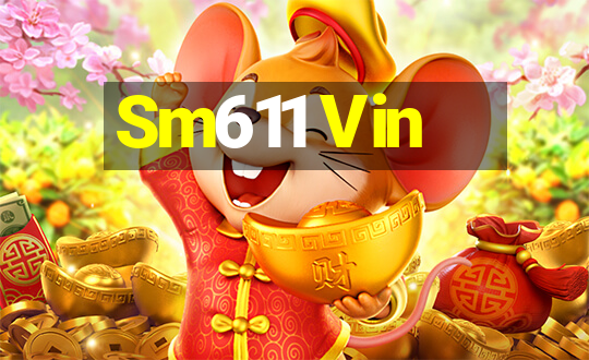 Sm611 Vin