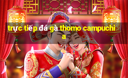 trực tiếp đá gà thomo campuchia