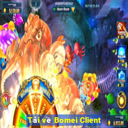 Tải về Bomei Client