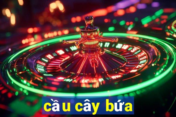 cầu cây bứa