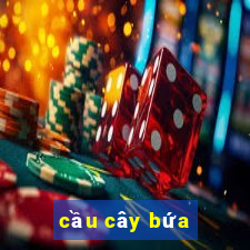 cầu cây bứa