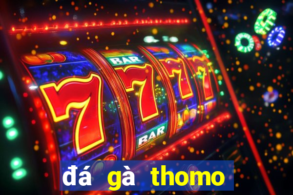 đá gà thomo trận 28 hôm qua