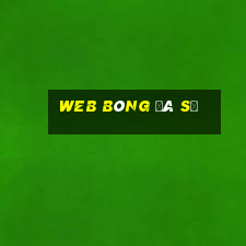 web bóng đá số