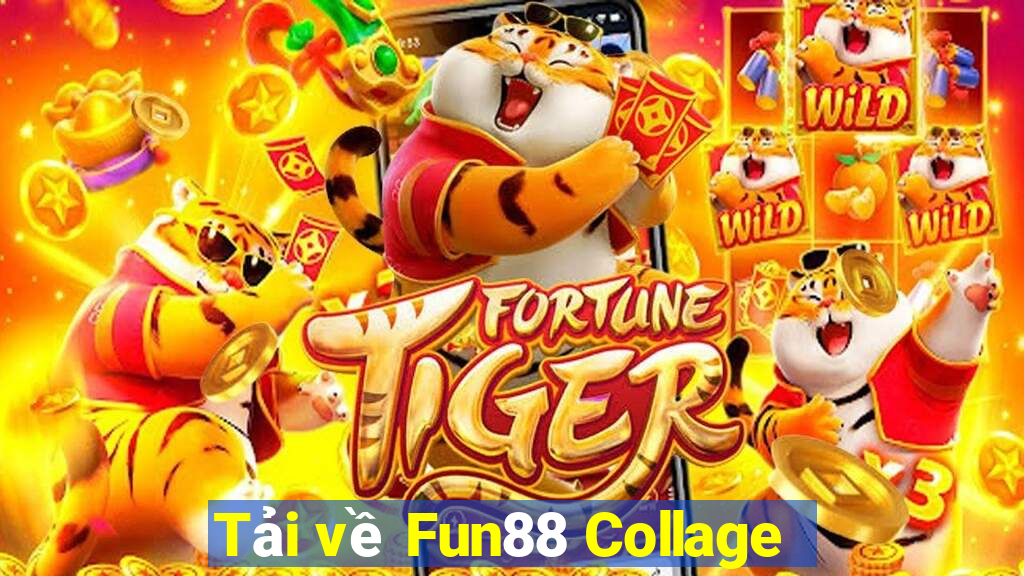 Tải về Fun88 Collage