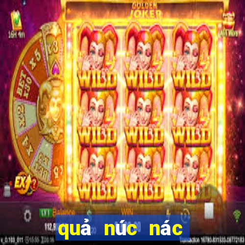 quả núc nác chữa bệnh gì