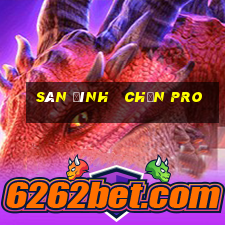 sân đình   chắn pro