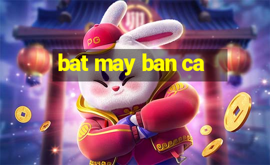 bat may ban ca