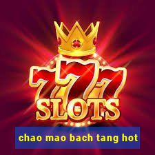 chao mao bach tang hot