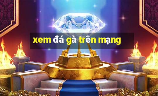 xem đá gà trên mạng