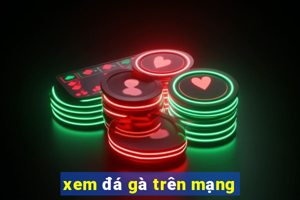 xem đá gà trên mạng