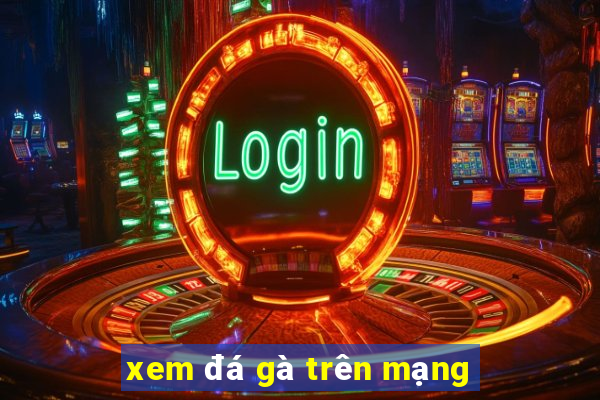 xem đá gà trên mạng