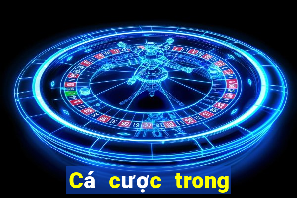 Cá cược trong cá cược bóng đá