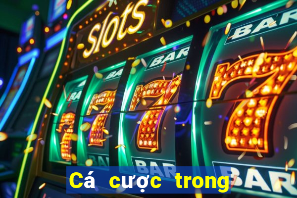 Cá cược trong cá cược bóng đá