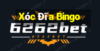 Xóc Đĩa Bingo