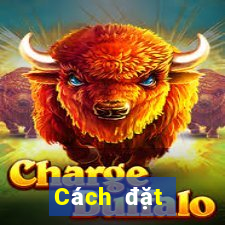 Cách đặt cược XSDN hôm nay