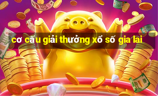 cơ cấu giải thưởng xổ số gia lai