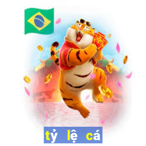 tỷ lệ cá cược bóng đá world cup hôm nay