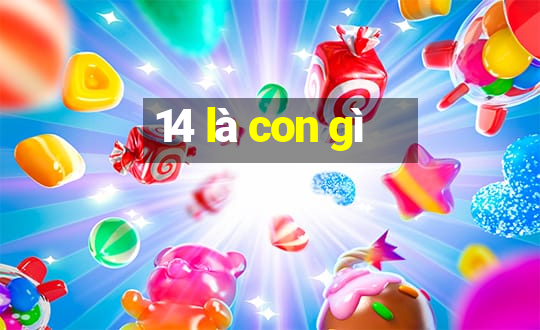 14 là con gì