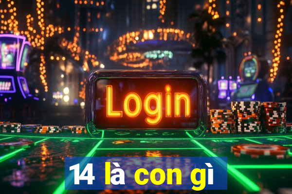 14 là con gì