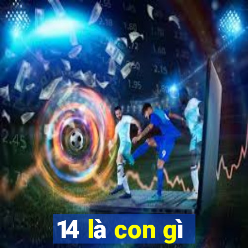 14 là con gì