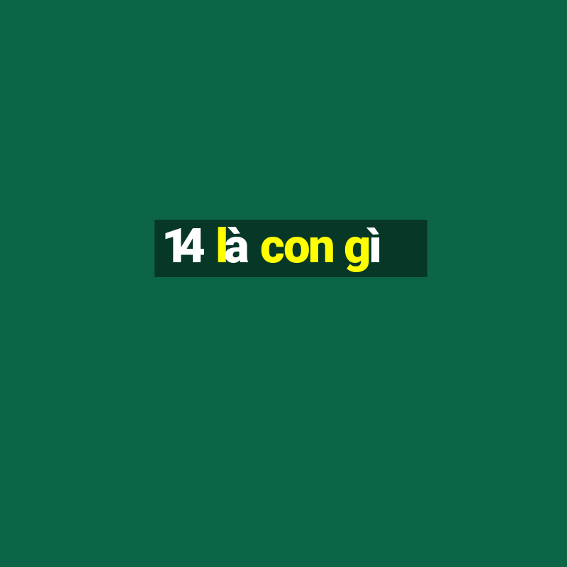 14 là con gì