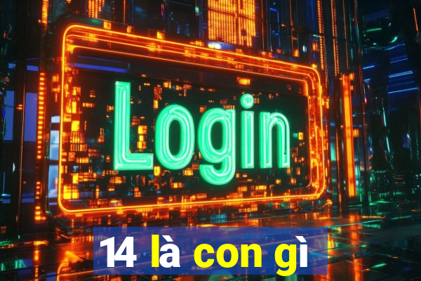 14 là con gì