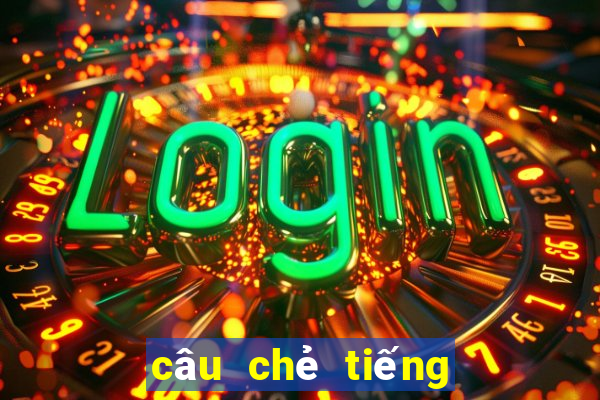 câu chẻ tiếng anh 11