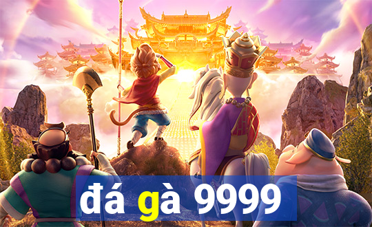 đá gà 9999