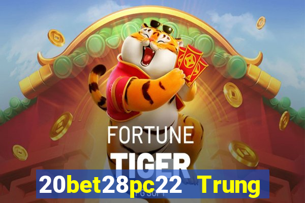 20bet28pc22 Trung thực 28pc22