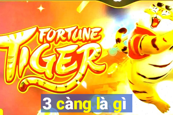 3 càng là gì