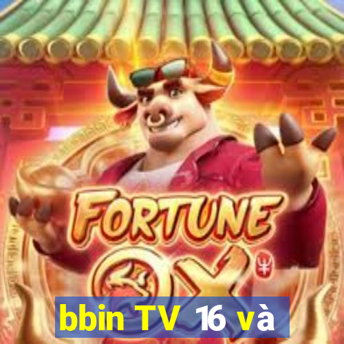 bbin TV 16 và