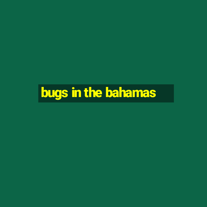 bugs in the bahamas