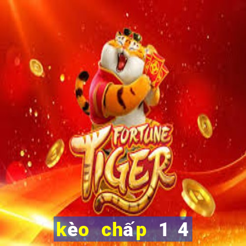 kèo chấp 1 4 là sao