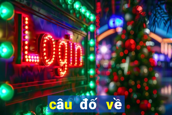 câu đố về lịch sử việt nam