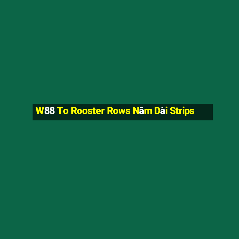 W88 To Rooster Rows Năm Dài Strips