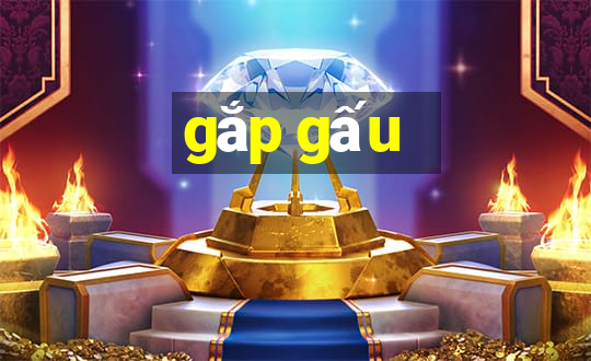 gắp gấu