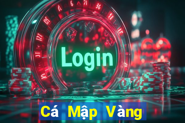 Cá Mập Vàng Cá Mập Bạc Fun88 Tải về