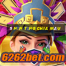 5 nền tảng chia màu