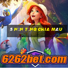 5 nền tảng chia màu