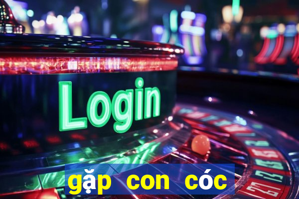 gặp con cóc đánh số mấy