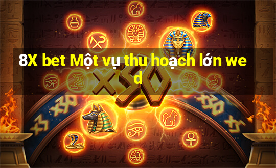 8X bet Một vụ thu hoạch lớn wed