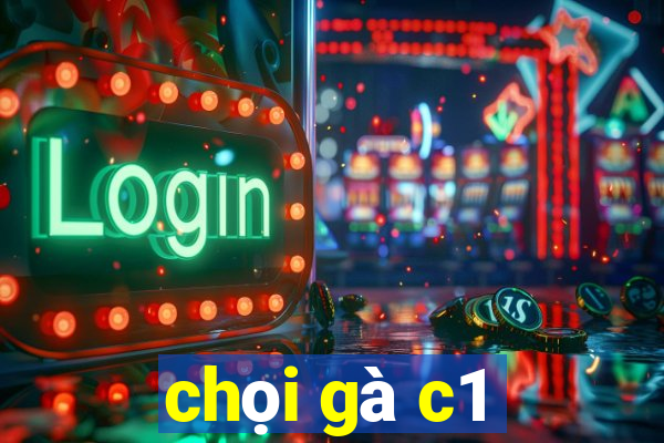 chọi gà c1