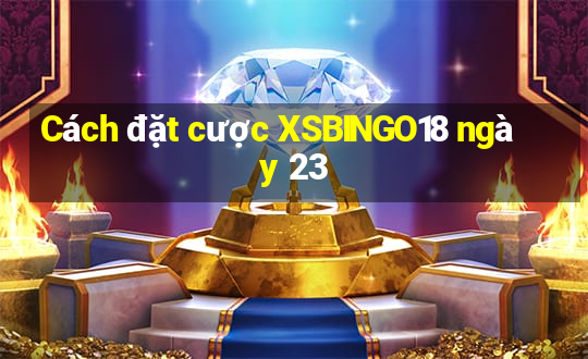 Cách đặt cược XSBINGO18 ngày 23