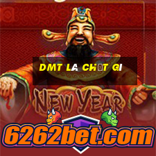 dmt là chất gì