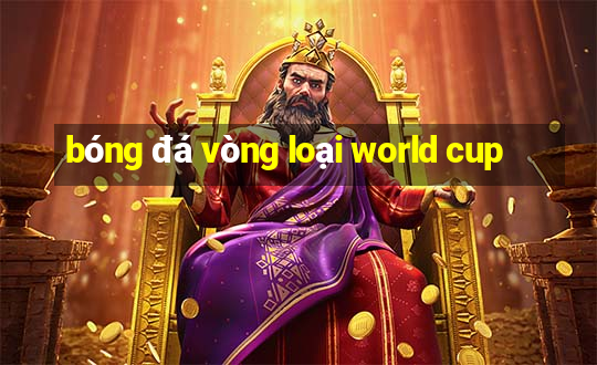 bóng đá vòng loại world cup