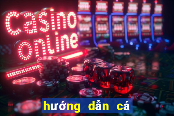 hướng dẫn cá cược bóng đá trên w88