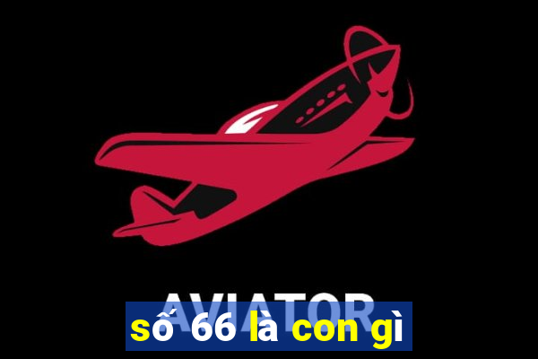 số 66 là con gì