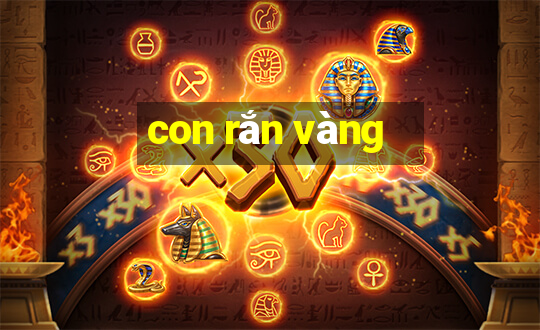 con rắn vàng