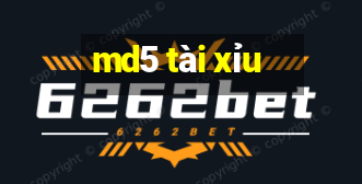 md5 tài xỉu