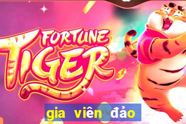 gia viên đảo cá voi